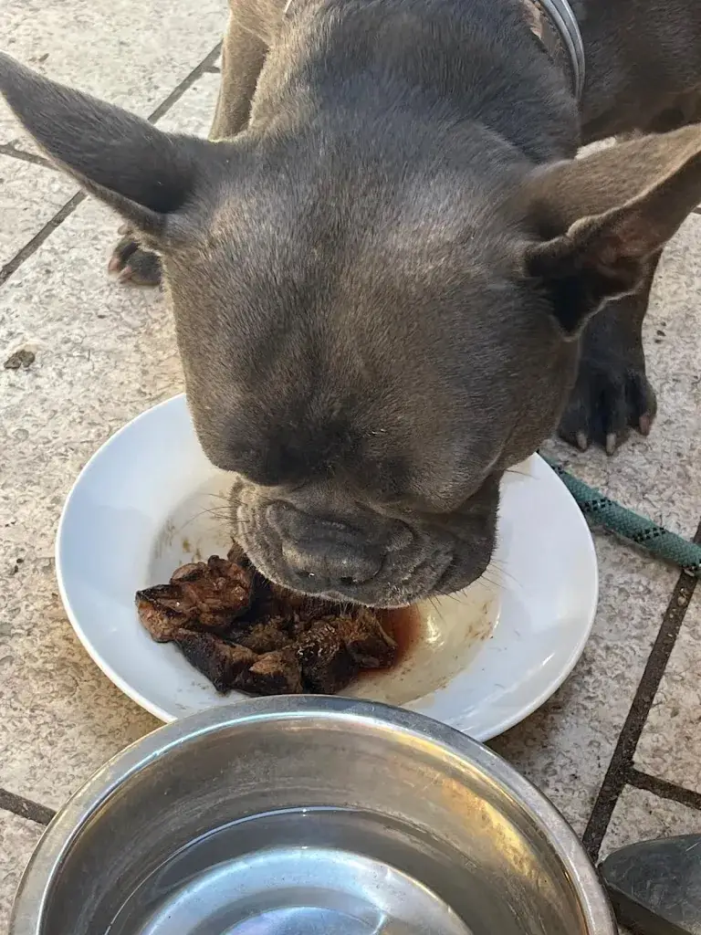 Michael Wroe_La Fille des Vignes_Uzès_review