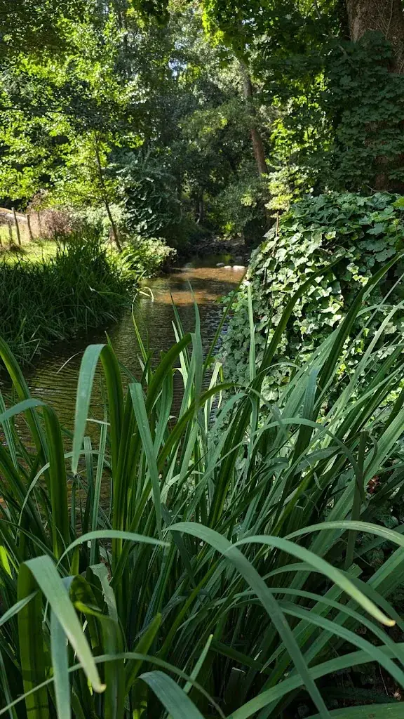 Jamal N _Domaine La Gentilhommière_Satillieu_recensione