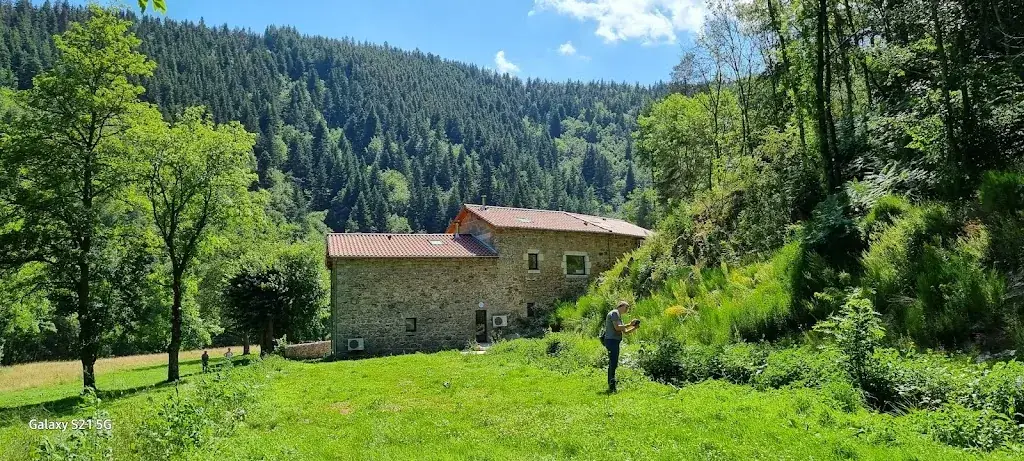 Nicole VERGEZAC_Auberge du Moulin_Sainte-Sigolène_review