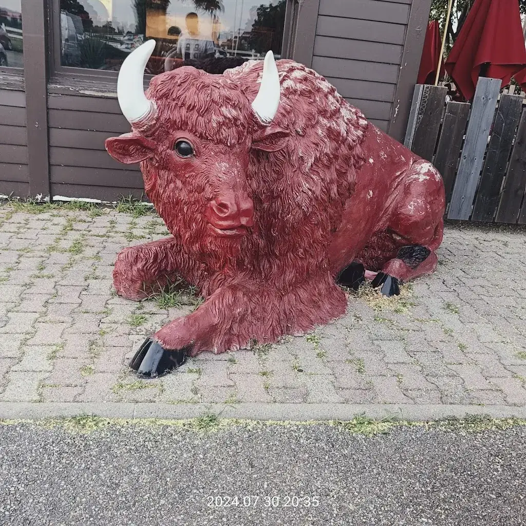 Alfio B._Buffalo Grill Salaise Sur Sanne_Salaise-sur-Sanne_review