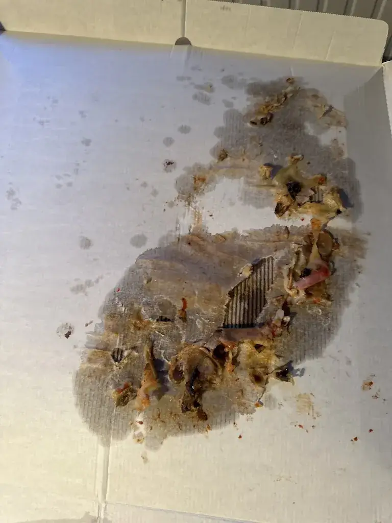 Menu_YOU'PIZZ_Savigneux_image_5