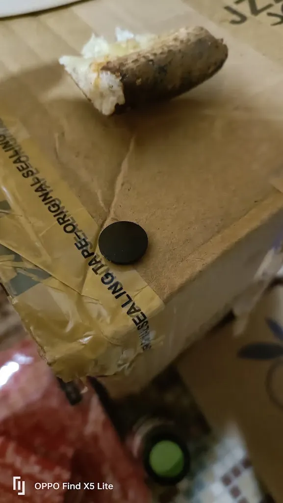 Maud Caron_Galactique pizza_Balbigny_review