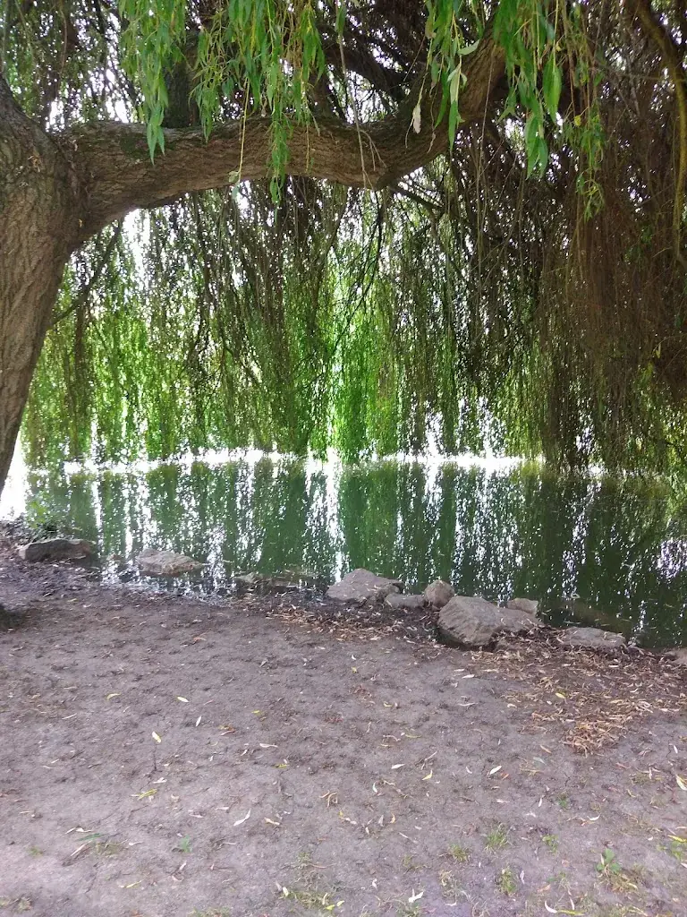 jason breach_Le Disque Bleu..Relais routier.._Cliousclat_review