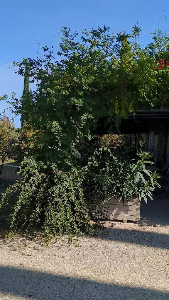 domaine de la batie_Saulce-sur-Rhône_slider_image_1