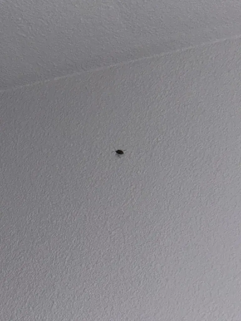 Lalou Lalou12_My KB Hotel Montélimar_Saulce-sur-Rhône_recensione