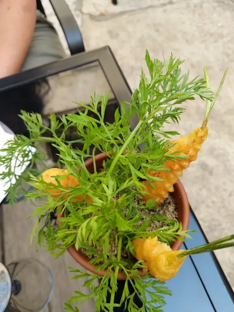 Felipe Lora_Alquimia_Vienne_review