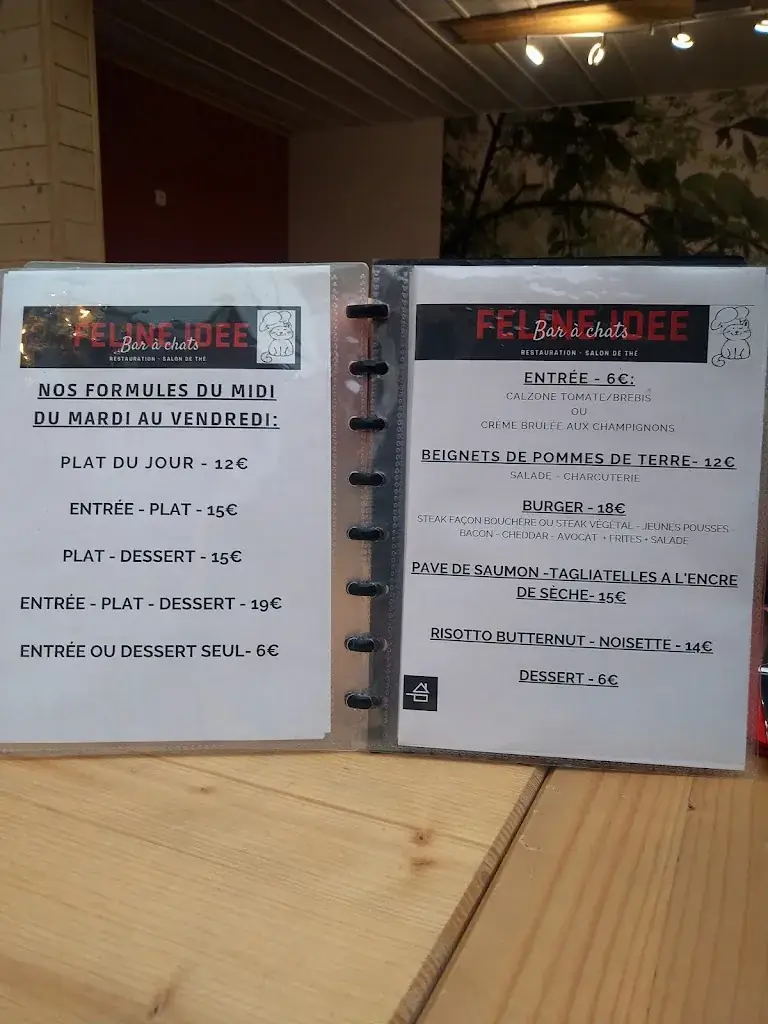 Menu_Féline Idée - Restaurant - Bar à Chats_Annemasse_immagine_1