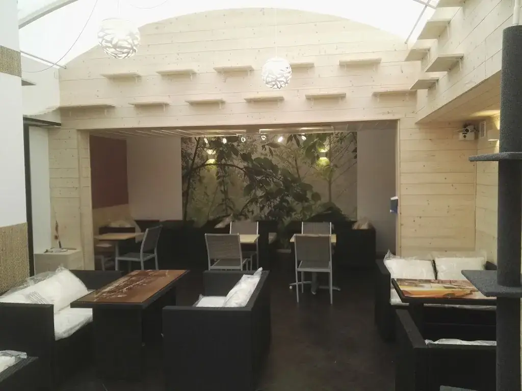 Féline Idée - Restaurant - Bar à Chats restaurant in Annemasse