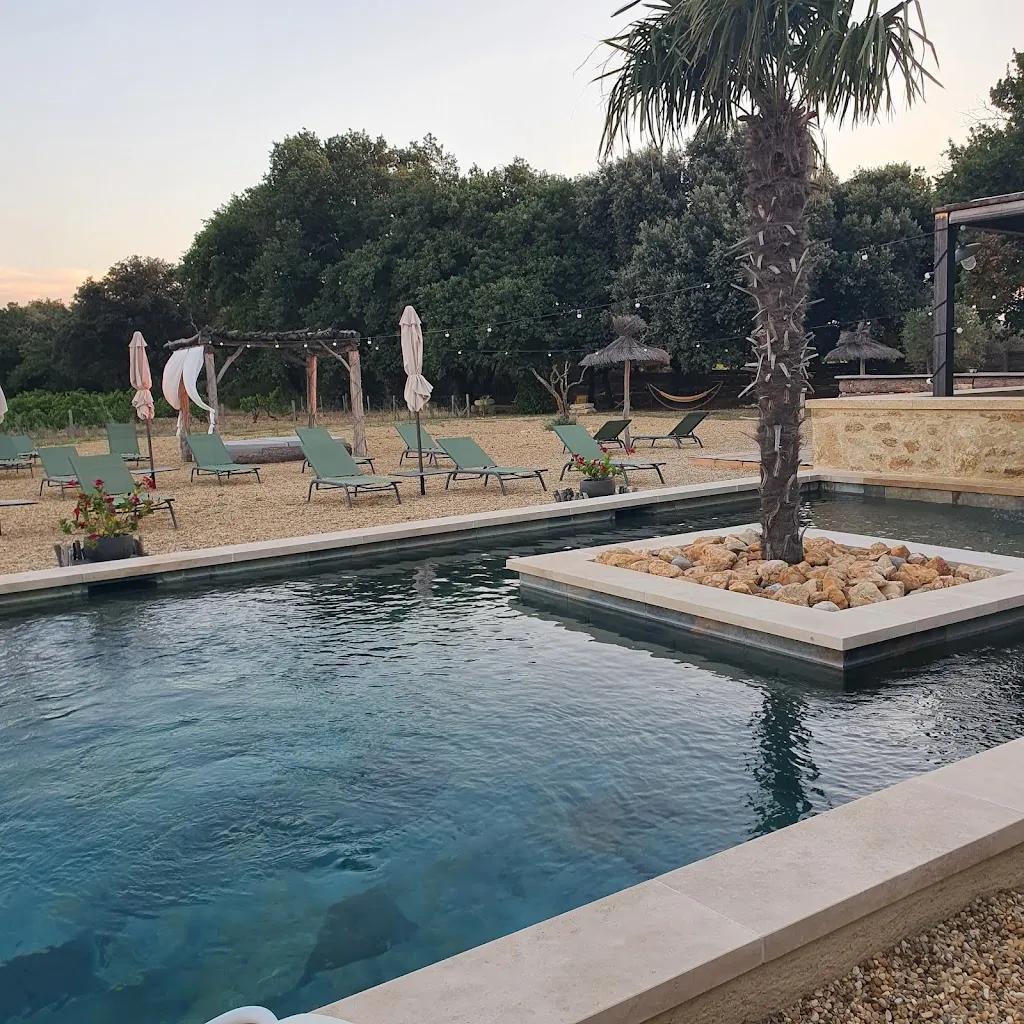 Eric ACKERMANN_Restaurant le Mas du couchant_Suze-la-Rousse_review