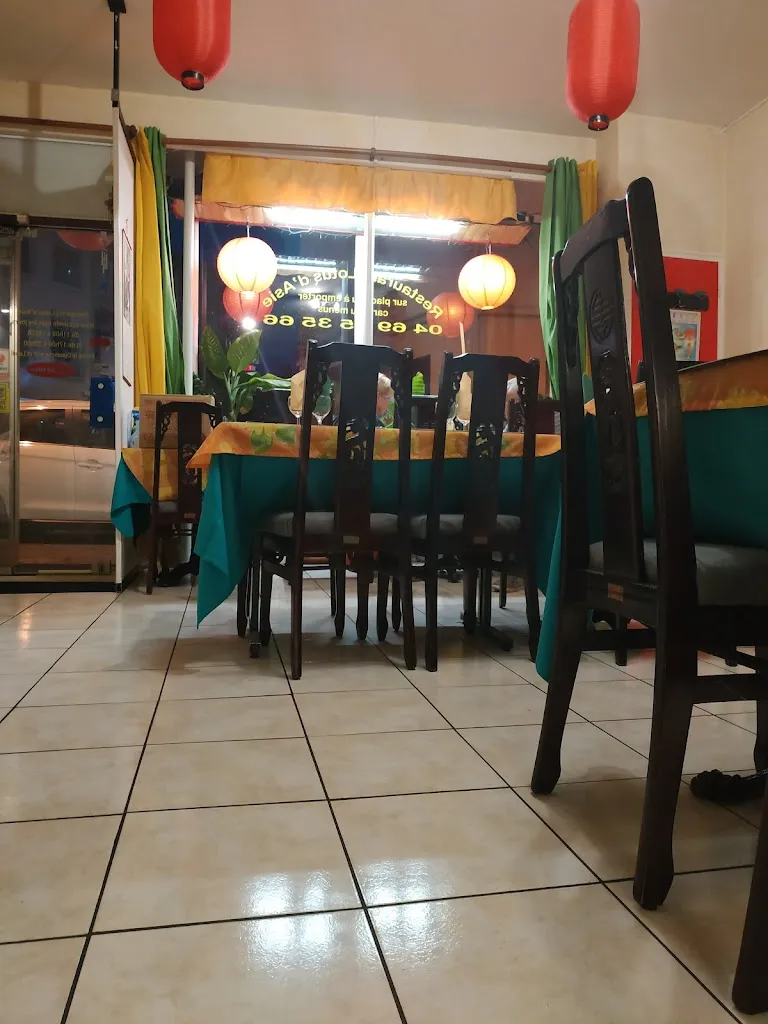 Lotus d'Asie à Sury le Comtal_Sury-le-Comtal_slider_image_3