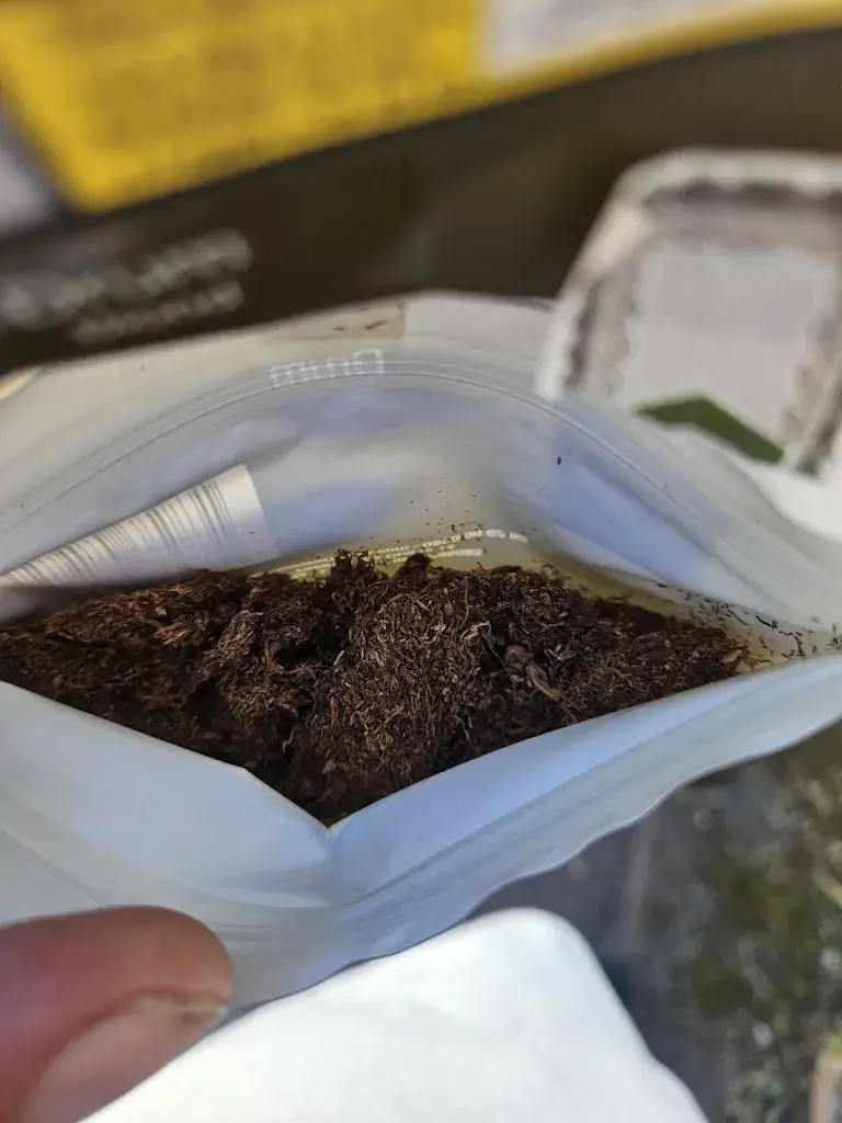 Le Longchamp restaurante en Sury-le-Comtal