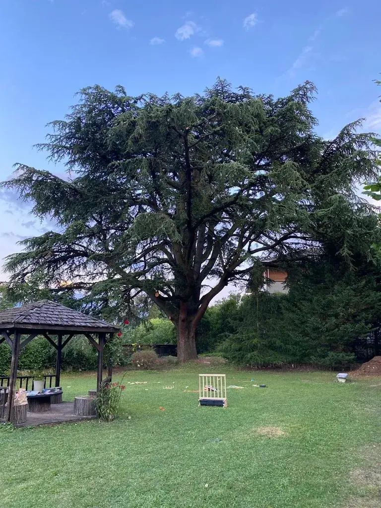 Auriane Sennac_Château de la Baume_Seyssins_review