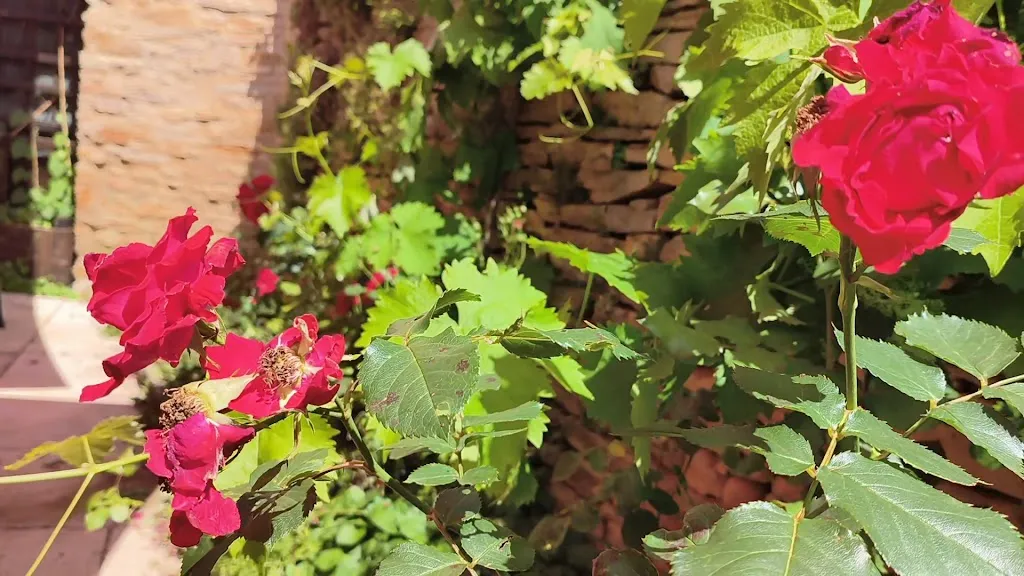 Auberge de Thil_Thil_slider_image_2