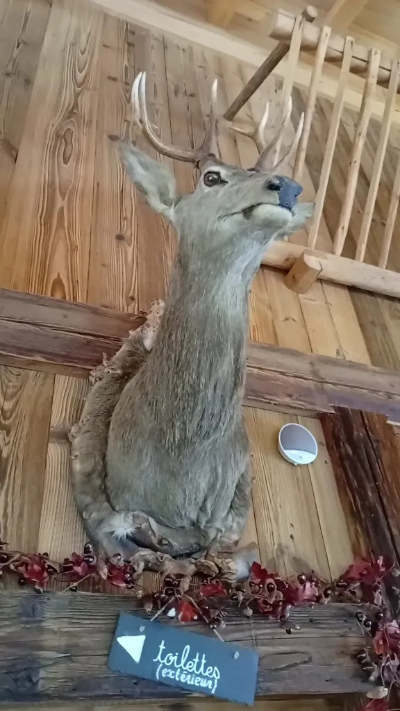 fifi la tortue_Auberge de la Pointe D Orchex_Thyez_review