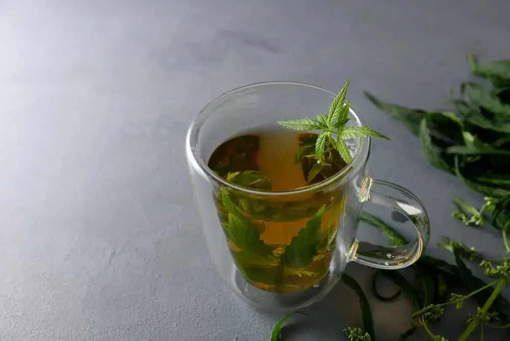 Menu_Big Bear Lounge Bar Samoëns_Samoëns_image_6