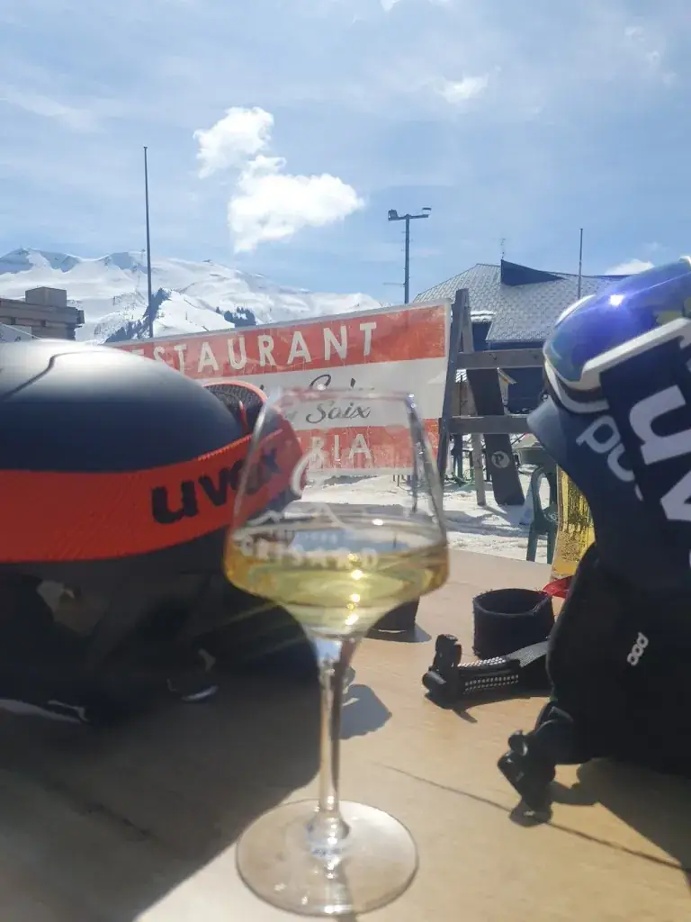 Tina Cross_Demoiselle des Saix_Samoëns_review