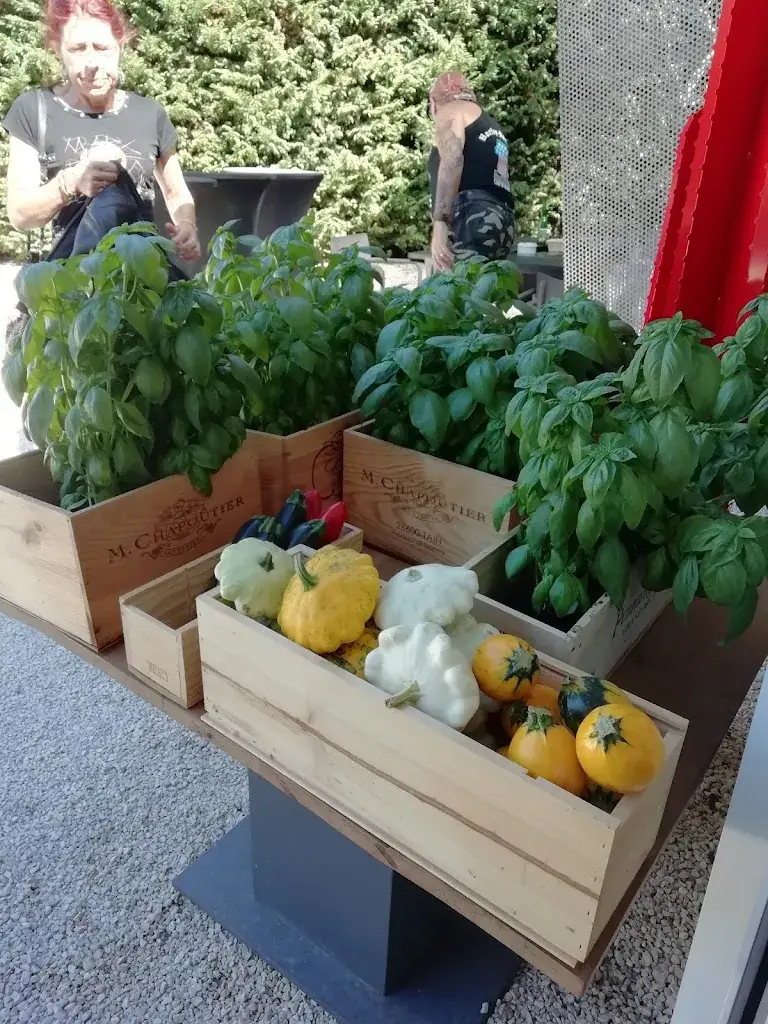 Martine Rodriguez_Le tablier d'Irene_Soyons_recensione