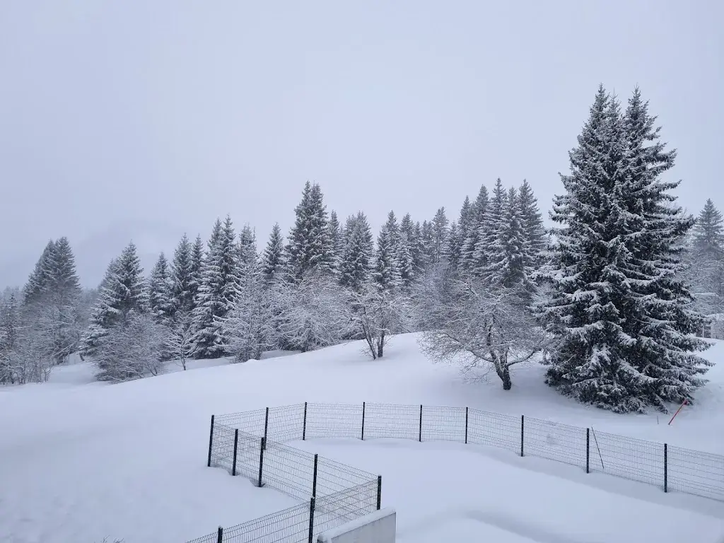Céleste A._Les Terrasses du Mont Blanc_Taninges_review