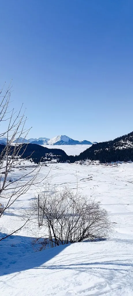 DJ NOM DE ZEUS_Restaurant Le Zilda_Taninges_recensione