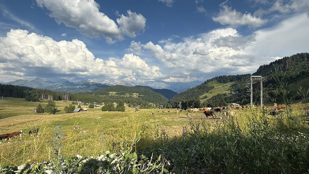 Chloe Ctyy_Auberge du Lys Blanc_Taninges_review