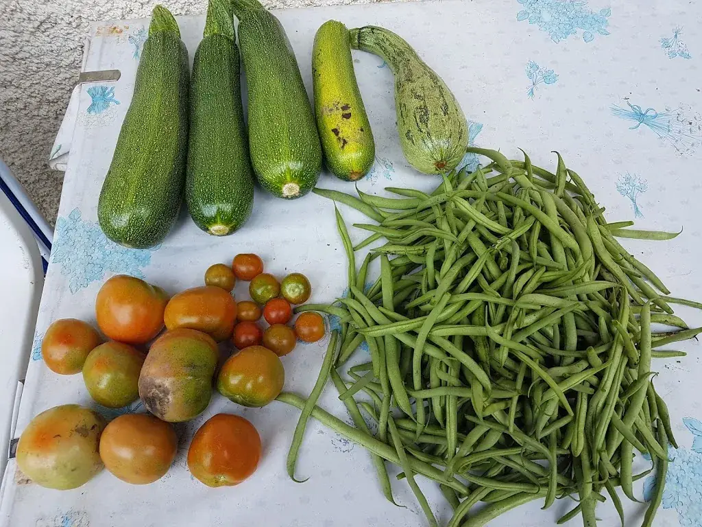 Menu_Bar Restaurant Chez Annie_Fillière_immagine_7