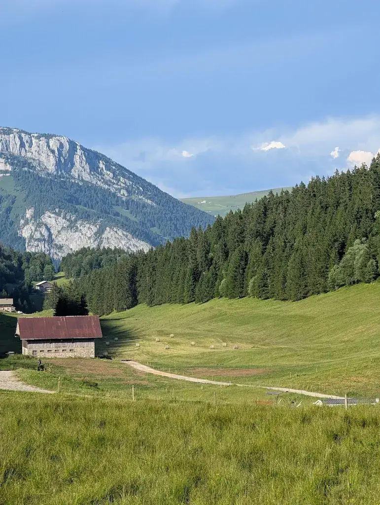 Sébastien MARCELLIN_Chez Constance_Glières-Val-de-Borne_review