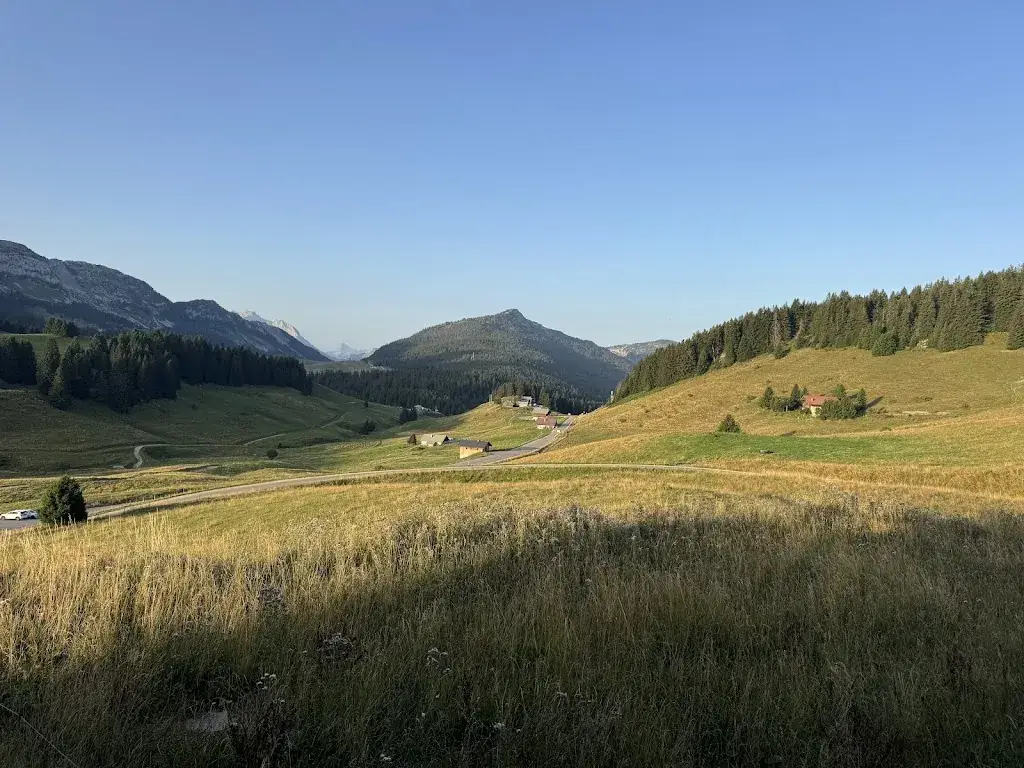 Yuri Tsitrinbaum_Auberge des Glières_74570_review