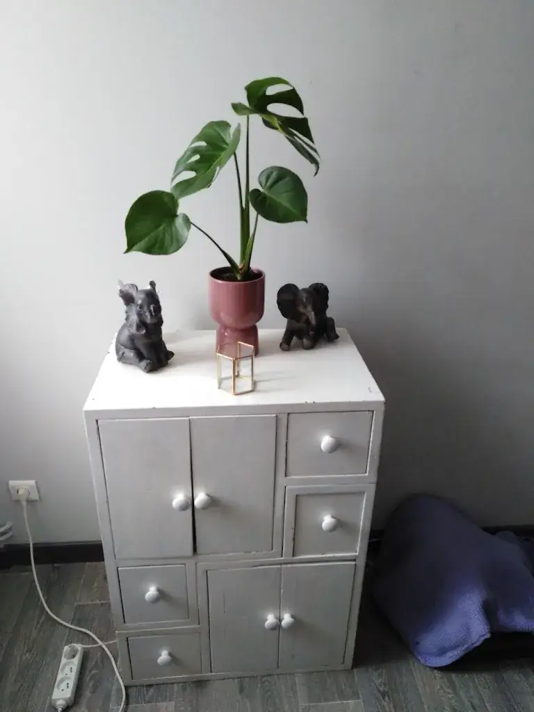 ARIZONA_Tarare_slider_image_1