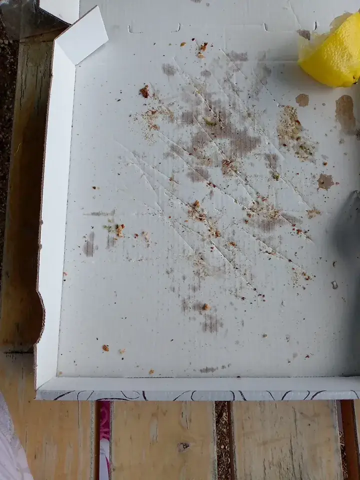 céline fougères_Albanais Fringale_Vallières-sur-Fier_review