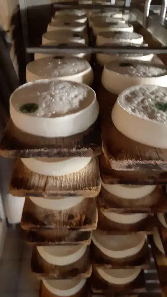 Franck Hembert_Ferme Auberge Des Corbassieres _Villards-sur-Thônes_recensione