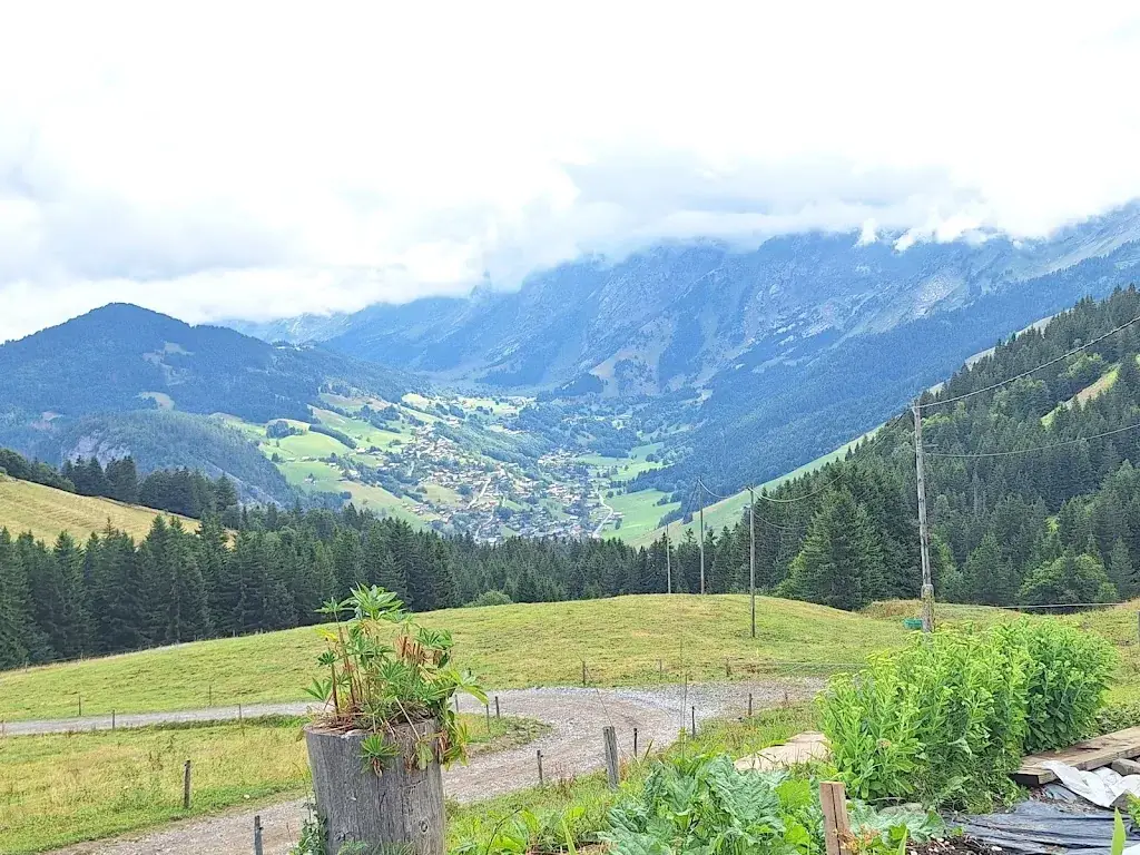 Véronique Perpinien_Ferme Auberge Des Corbassieres _Villards-sur-Thônes_recensione