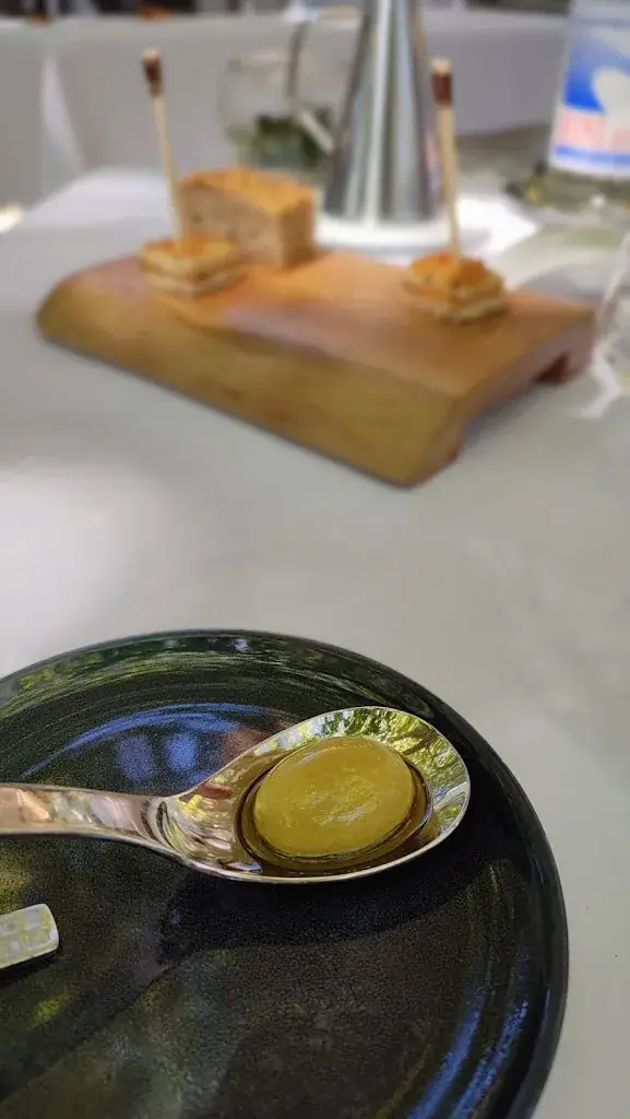 Marine HERRADA_Restaurant le Vivarais_Vals-les-Bains_review