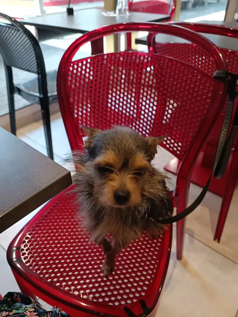 MC S_La Fringale_Vic-le-Comte_review