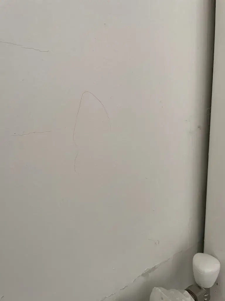 Boris S._Les Acacias Bellevue - Hotel et Restaurant - Veyrier du Lac_Veyrier-du-Lac_review