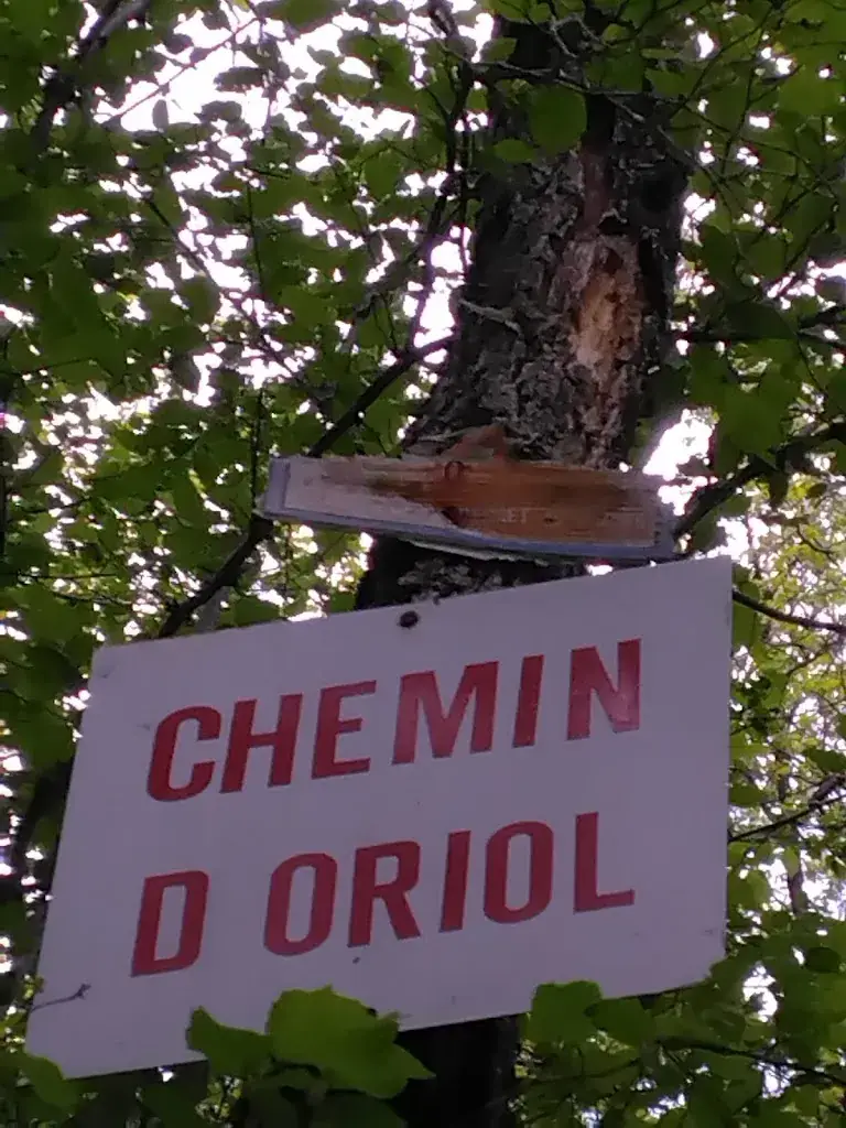 Roman Bernard_Domaine du Rocher St-Loup - Ferme-Auberge & Ranch_Vif_review