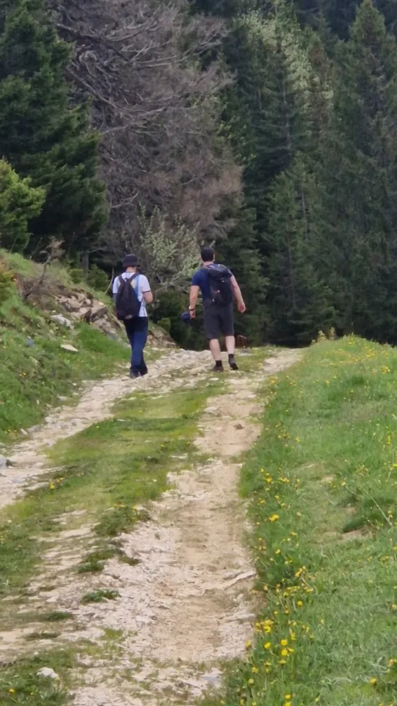 Chalet Restaurant de L'Anglettaz_Fillière_slider_image_3