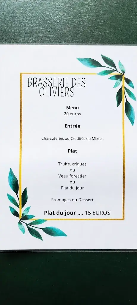 Menu_Brasserie des oliviers_Villeneuve-de-Berg_image_3