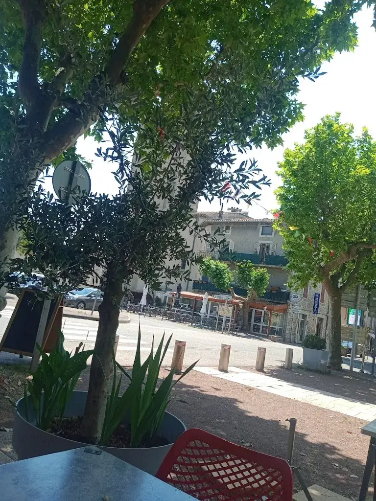 Louna Gachon_Brasserie des oliviers_Villeneuve-de-Berg_review