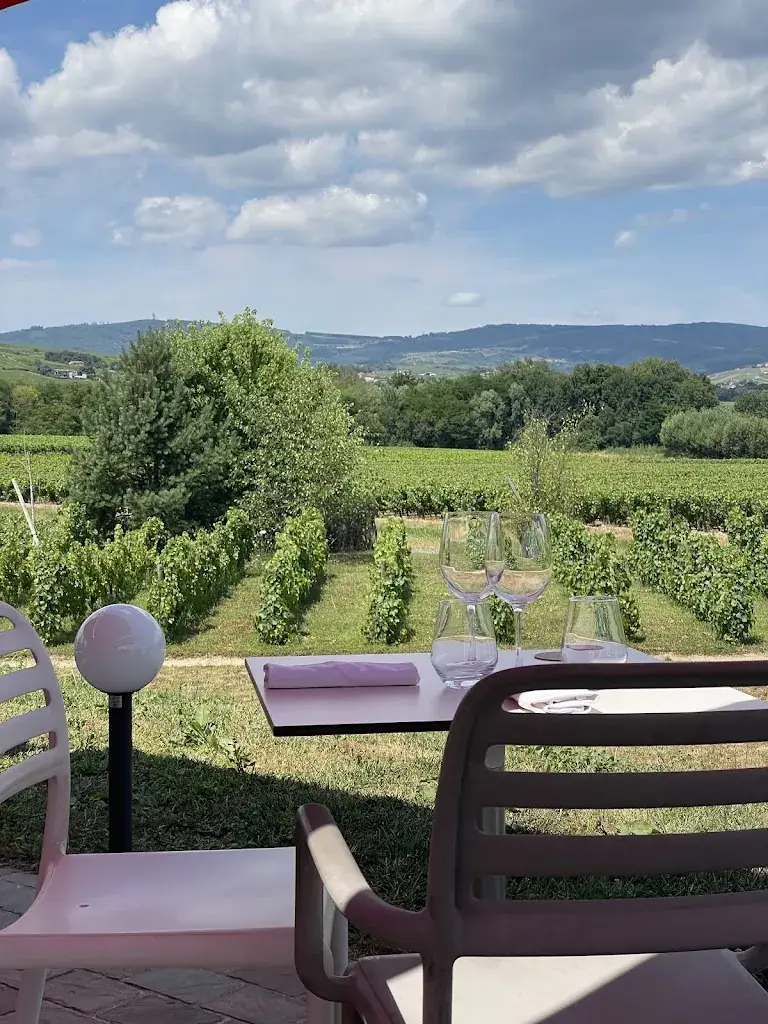 Maddy_La Robe Rouge_Villié-Morgon_recensione