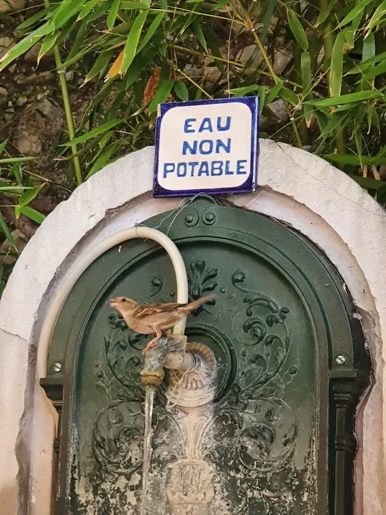 marijn willems_Auberge du petit bistrot_Vinsobres_recensione