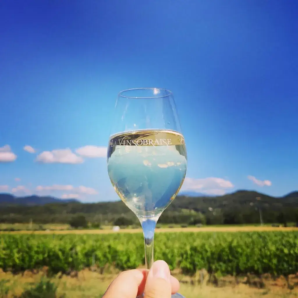 Cave coopérative La Vinsobraise_Vinsobres_slider_image_3