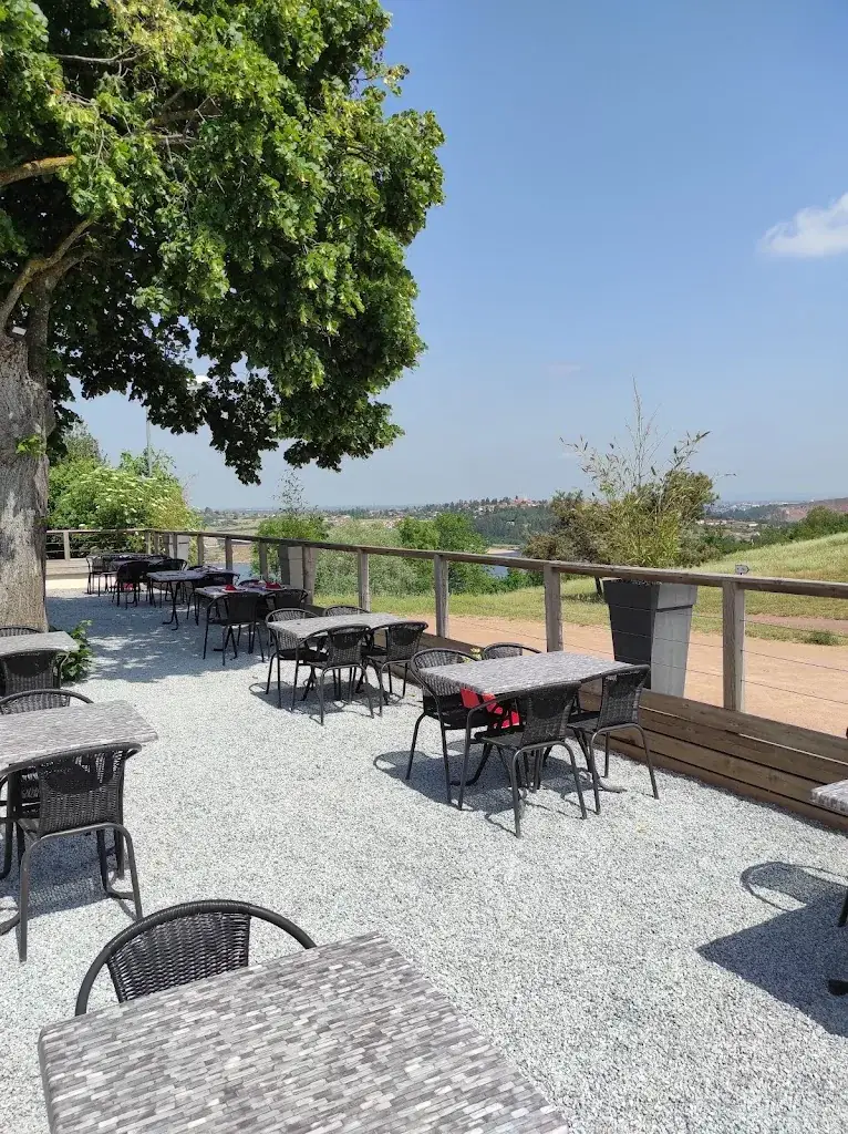 Auberge de la Vieille Castille Restaurant Commelle Vernay Roanne restaurant in Commelle-Vernay