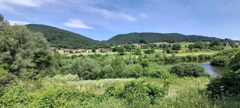Hôtel des Voyageurs ristorante a Vorey