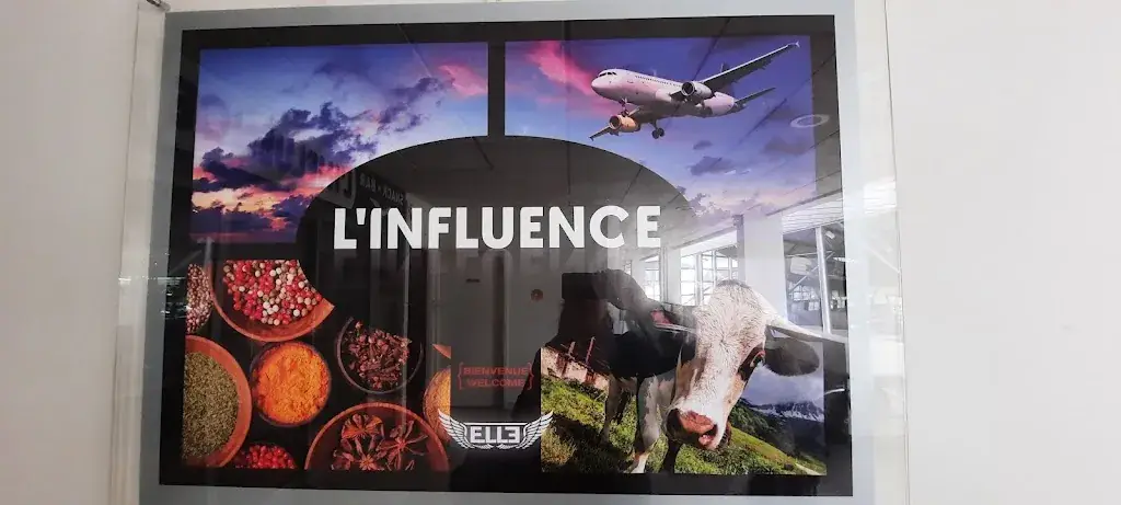 Corinne Karchesz_Influence Restaurant_Viviers-du-Lac_review