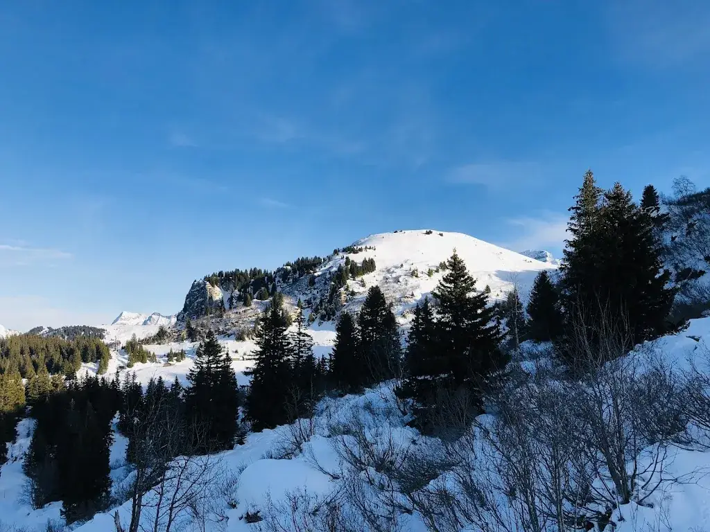 Andreea V_Rocco Cantina Italiana_Villars-sur-Ollon_review