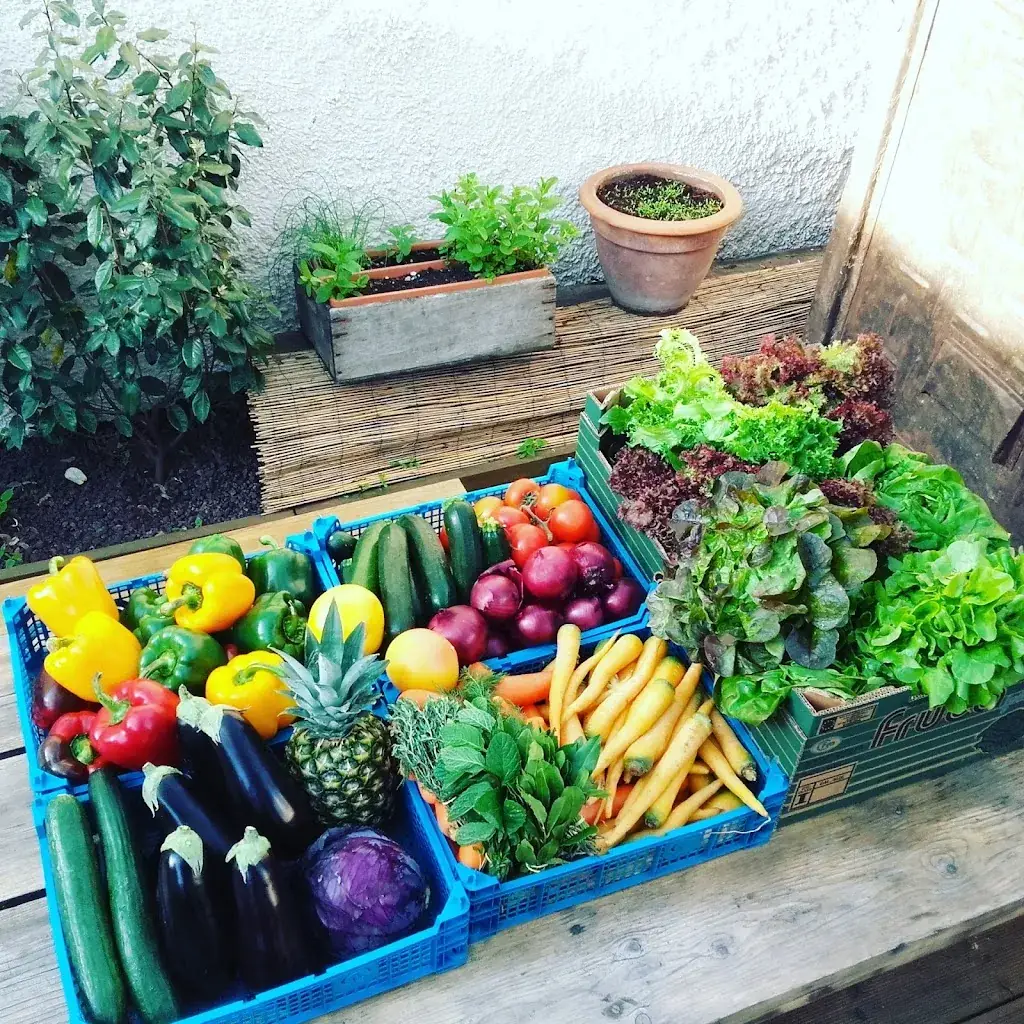 Menu_LE JARDIN D'ALINE_Villeurbanne_image_9