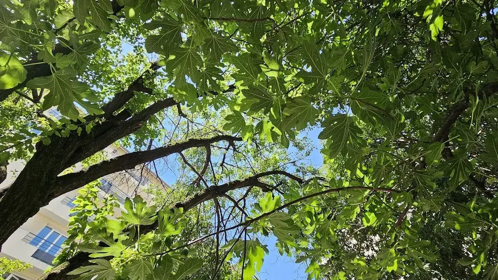 Julien ALIBERT_La petite Auberge de la Doua_Villeurbanne_review