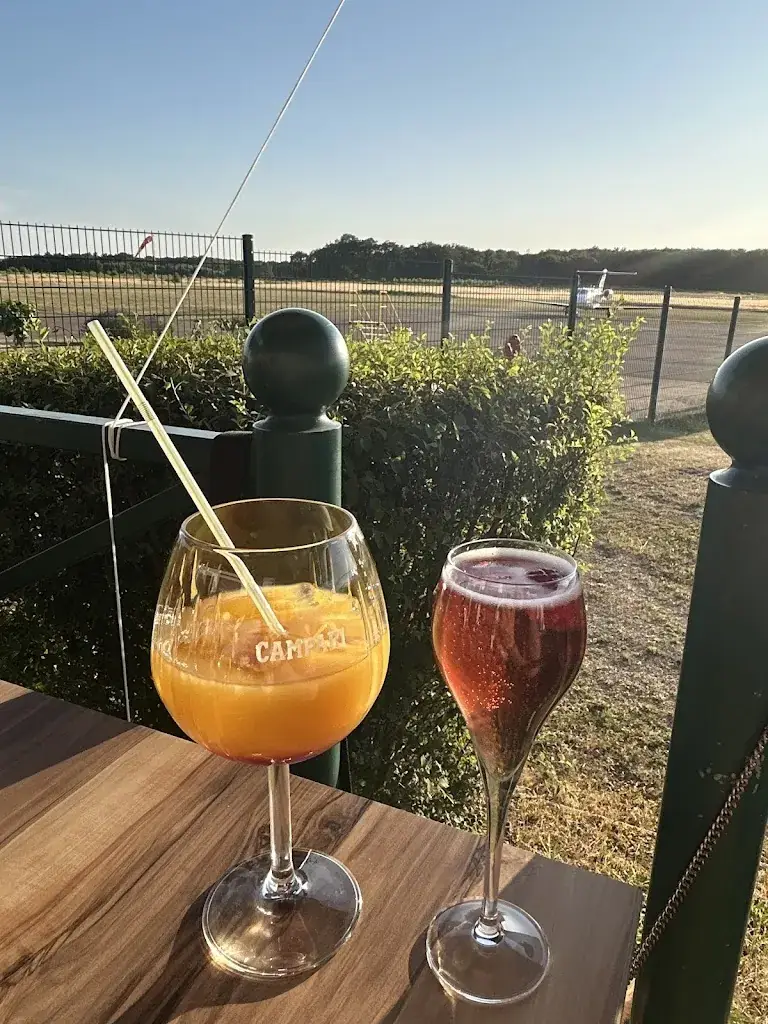 Cynthia Millet_Le plan de vol_Appoigny_review