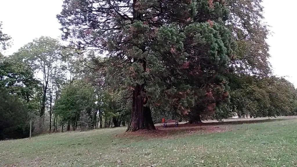 LaTerrasse, Château Japy_Beaucourt_slider_image_2