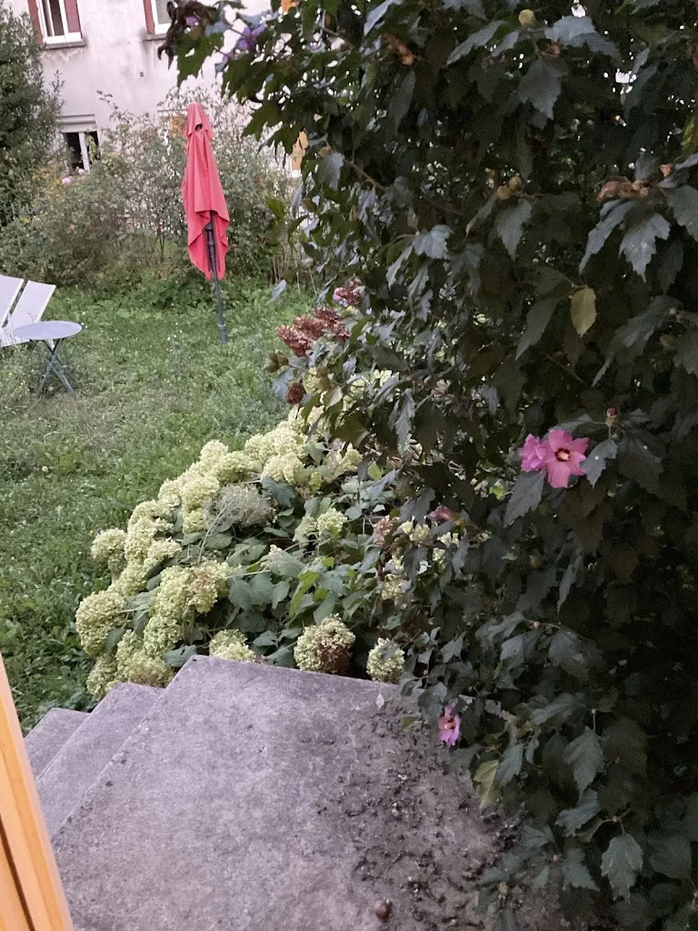 Sommy Walker_Carmel 1643_Arbois_review